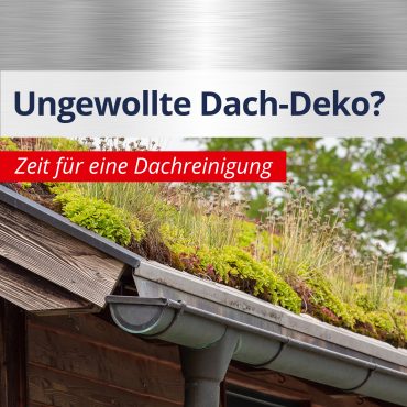 2025_dachreinigung_sommer_blog_mars_website