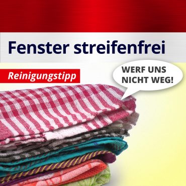 2025_putztipp_blog_mars_website_fenster_streifenfrei_putzen_umweltfreundlich