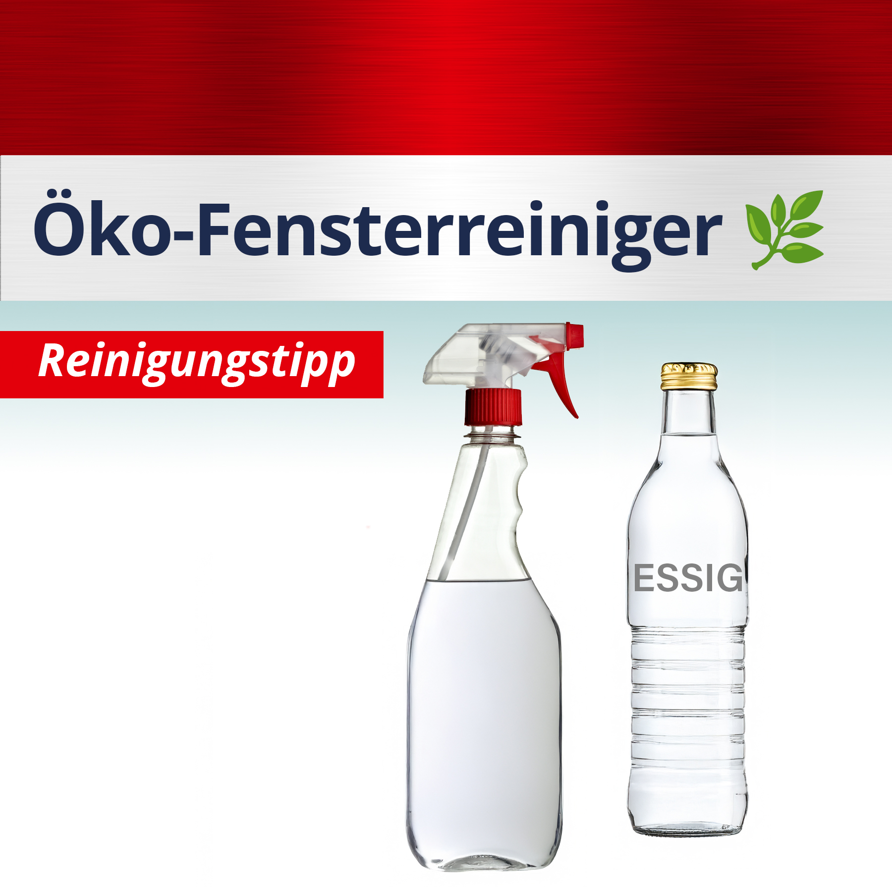2025_putztipp_blog_öko_fensterreiniger