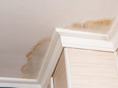 Feuchtigkeit und Wasser in Wänden kann schwere Schäden am Gebäude verursachen: reagieren Sie schnell, bevor sich das Wasser ausbreitet